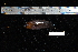  ( - REU2579)  @12 [ ] No Rights Reserved  Unspecified Unspecified