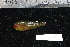  ( - REU2584)  @13 [ ] No Rights Reserved  Unspecified Unspecified