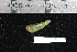  ( - REU2585)  @12 [ ] No Rights Reserved  Unspecified Unspecified