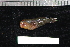  ( - REU2586)  @12 [ ] No Rights Reserved  Unspecified Unspecified