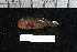  ( - REU2587)  @13 [ ] No Rights Reserved  Unspecified Unspecified