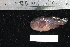  ( - REU2592)  @13 [ ] No Rights Reserved  Unspecified Unspecified