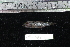  ( - REU2614)  @12 [ ] No Rights Reserved  Unspecified Unspecified
