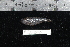  ( - REU2615)  @12 [ ] No Rights Reserved  Unspecified Unspecified
