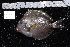  ( - REU272_1)  @13 [ ] No Rights Reserved  Unspecified Unspecified