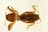  ( - AY165658)  @14 [ ] CreativeCommons - Attribution (2009) Unspecified Centre for Biodiversity Genomics