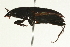  ( - AY165644)  @13 [ ] CreativeCommons - Attribution (2009) Unspecified Centre for Biodiversity Genomics