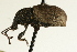  ( - AY165668)  @13 [ ] CreativeCommons - Attribution (2009) Unspecified Centre for Biodiversity Genomics