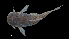  ( - 0790-STB_SBCH-02-10)  @11 [ ] Copyright (2019) Alejandro Mendez Lopez Instituto de Investigacion de Recursos Biologicos Alexander von Humboldt