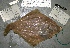  ( - 06-557)  @13 [ ] Unspecified (default): All Rights Reserved  Unspecified Unspecified