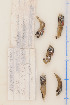  ( - 07-529)  @12 [ ] Unspecified (default): All Rights Reserved  Unspecified Unspecified