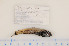  ( - 07-534)  @13 [ ] Unspecified (default): All Rights Reserved  Unspecified Unspecified