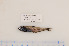  ( - 07-552)  @13 [ ] Unspecified (default): All Rights Reserved  Unspecified Unspecified