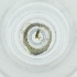  ( - CAMP_019_D8)  @11 [ ] by  Genome Research Ltd as Wellcome Sanger Institute Genome Research Limited operating as Wellcome Sanger Institute