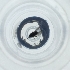  ( - CAMP_027_C7)  @11 [ ] by  Genome Research Ltd as Wellcome Sanger Institute Genome Research Limited operating as Wellcome Sanger Institute