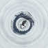  ( - CAMP_027_F5)  @11 [ ] by  Genome Research Ltd as Wellcome Sanger Institute Genome Research Limited operating as Wellcome Sanger Institute
