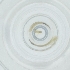 ( - CAMP_030_C2)  @11 [ ] by  Genome Research Ltd as Wellcome Sanger Institute Genome Research Limited operating as Wellcome Sanger Institute