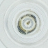  ( - CAMP_030_G5)  @11 [ ] by  Genome Research Ltd as Wellcome Sanger Institute Genome Research Limited operating as Wellcome Sanger Institute