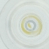  ( - CAMP_031_G4)  @11 [ ] by  Genome Research Ltd as Wellcome Sanger Institute Genome Research Limited operating as Wellcome Sanger Institute