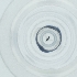  ( - CAMP_031_G8)  @11 [ ] by  Genome Research Ltd as Wellcome Sanger Institute Genome Research Limited operating as Wellcome Sanger Institute