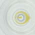  ( - CAMP_033_H4)  @11 [ ] by  Genome Research Ltd as Wellcome Sanger Institute Genome Research Limited operating as Wellcome Sanger Institute