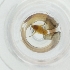  ( - CAMP_034_H6)  @11 [ ] by  Genome Research Ltd as Wellcome Sanger Institute Genome Research Limited operating as Wellcome Sanger Institute