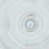  ( - CAMP_035_B6)  @11 [ ] by  Genome Research Ltd as Wellcome Sanger Institute Genome Research Limited operating as Wellcome Sanger Institute