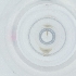  ( - CAMP_037_F12)  @11 [ ] by  Genome Research Ltd as Wellcome Sanger Institute Genome Research Limited operating as Wellcome Sanger Institute