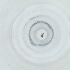  ( - CAMP_041_D7)  @11 [ ] by  Genome Research Ltd as Wellcome Sanger Institute Genome Research Limited operating as Wellcome Sanger Institute