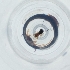  ( - CAMP_048_C6)  @11 [ ] by  Genome Research Ltd as Wellcome Sanger Institute Genome Research Limited operating as Wellcome Sanger Institute