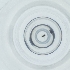  (Coccophagus sp. 3 YZZ-2017 - CAMP_049_A1)  @11 [ ] by  Genome Research Ltd as Wellcome Sanger Institute Genome Research Limited operating as Wellcome Sanger Institute