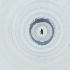  ( - CAMP_050_D7)  @11 [ ] by  Genome Research Ltd as Wellcome Sanger Institute Genome Research Limited operating as Wellcome Sanger Institute