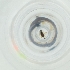  ( - CAMP_055_F11)  @11 [ ] by  Genome Research Ltd as Wellcome Sanger Institute Genome Research Limited operating as Wellcome Sanger Institute