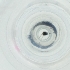  ( - CAMP_063_F11)  @11 [ ] by  Genome Research Ltd as Wellcome Sanger Institute Genome Research Limited operating as Wellcome Sanger Institute