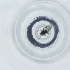  ( - CAMP_070_D9)  @11 [ ] by  Genome Research Ltd as Wellcome Sanger Institute Genome Research Limited operating as Wellcome Sanger Institute