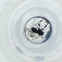  ( - CAMP_074_E3)  @11 [ ] by  Genome Research Ltd as Wellcome Sanger Institute Genome Research Limited operating as Wellcome Sanger Institute