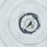  ( - CAMP_078_B8)  @11 [ ] by  Genome Research Ltd as Wellcome Sanger Institute Genome Research Limited operating as Wellcome Sanger Institute