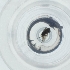  ( - CAMP_078_C9)  @11 [ ] by  Genome Research Ltd as Wellcome Sanger Institute Genome Research Limited operating as Wellcome Sanger Institute
