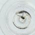  ( - CAMP_078_G3)  @11 [ ] by  Genome Research Ltd as Wellcome Sanger Institute Genome Research Limited operating as Wellcome Sanger Institute