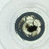  ( - CAMP_079_D3)  @11 [ ] by  Genome Research Ltd as Wellcome Sanger Institute Genome Research Limited operating as Wellcome Sanger Institute