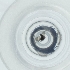  ( - CAMP_079_H4)  @11 [ ] by  Genome Research Ltd as Wellcome Sanger Institute Genome Research Limited operating as Wellcome Sanger Institute