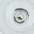  ( - CAMP_080_D4)  @11 [ ] by  Genome Research Ltd as Wellcome Sanger Institute Genome Research Limited operating as Wellcome Sanger Institute