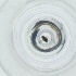  ( - CAMP_080_E5)  @11 [ ] by  Genome Research Ltd as Wellcome Sanger Institute Genome Research Limited operating as Wellcome Sanger Institute