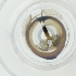  ( - CAMP_090_A8)  @11 [ ] by  Genome Research Ltd as Wellcome Sanger Institute Genome Research Limited operating as Wellcome Sanger Institute