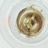  ( - CAMP_090_F12)  @11 [ ] by  Genome Research Ltd as Wellcome Sanger Institute Genome Research Limited operating as Wellcome Sanger Institute