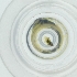  ( - CAMP_090_H3)  @11 [ ] by  Genome Research Ltd as Wellcome Sanger Institute Genome Research Limited operating as Wellcome Sanger Institute