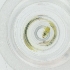  ( - CAMP_091_H9)  @11 [ ] by  Genome Research Ltd as Wellcome Sanger Institute Genome Research Limited operating as Wellcome Sanger Institute