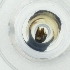  ( - CAMP_099_D8)  @11 [ ] by  Genome Research Ltd as Wellcome Sanger Institute Genome Research Limited operating as Wellcome Sanger Institute