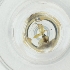  ( - CAMP_106_A4)  @11 [ ] by  Genome Research Ltd as Wellcome Sanger Institute Genome Research Limited operating as Wellcome Sanger Institute