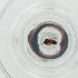  ( - CAMP_108_B5)  @11 [ ] by  Genome Research Ltd as Wellcome Sanger Institute Genome Research Limited operating as Wellcome Sanger Institute